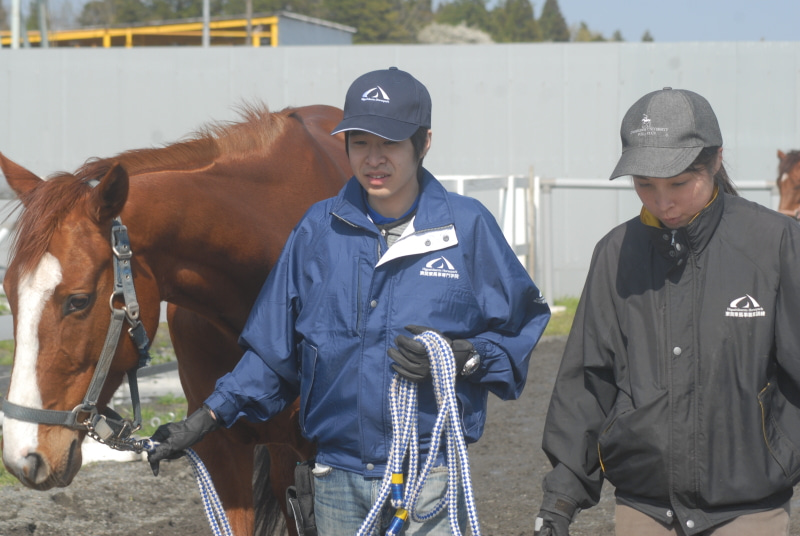 ◆秘）JRA厩務員になるには…｜JRA競馬学校受験を目指せる馬の学校