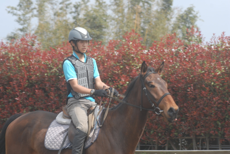 ◆秘）JRA厩務員になるには…｜JRA競馬学校受験を目指せる馬の学校